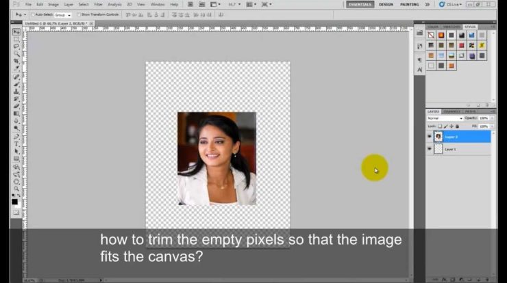 Cara Fit Object To Canvas Photoshop