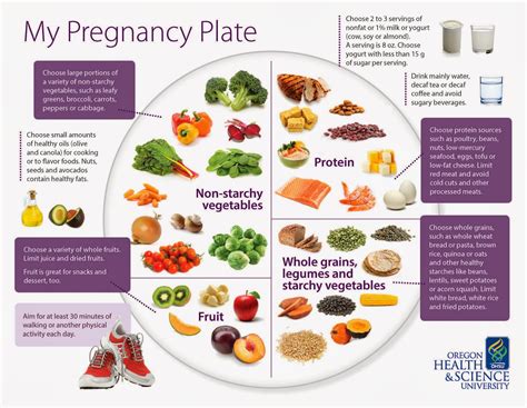pregnancy nutrition