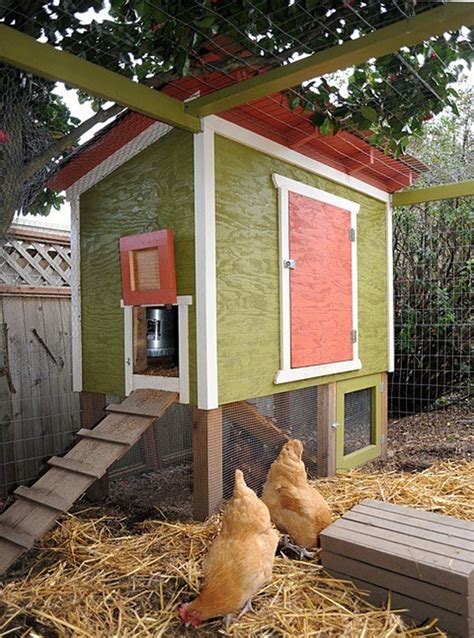 chicken coop designs