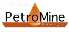 pt petromine energy trading